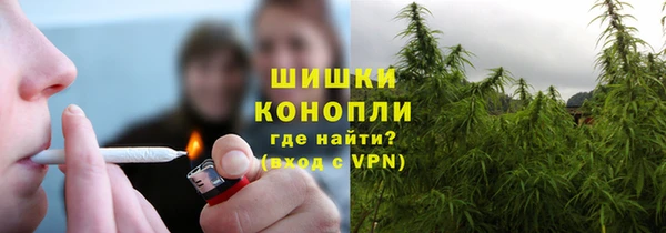 дурь Арсеньев