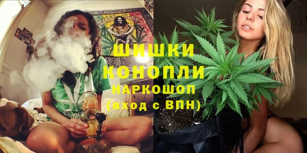 дурь Арсеньев